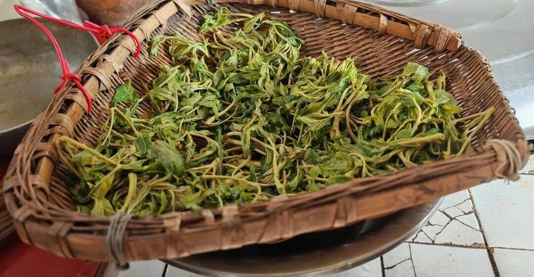 “最美人间四月天，一院盛景正清明”