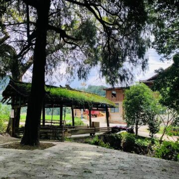 看见自我，寻觅乡村——“艺术大师”一路寻TA，一路生花