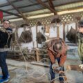 Brazilian Lucas’s Practice Reflections: Turning life into a work of art, and sharing it with the world