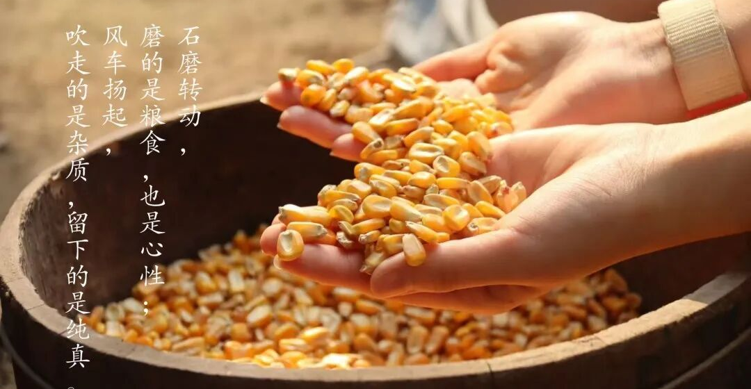 “我与农耕馆”系列特辑之《一日尘光》