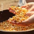 “我与农耕馆”系列特辑之《一日尘光》